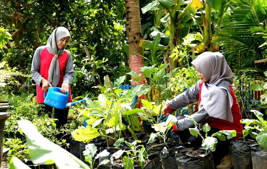 Bumi Kartini SIG Berdayakan Ratusan Perempuan Ubah Limbah Ternak Sapi Jadi Sumber Peningkatan Pendapatan