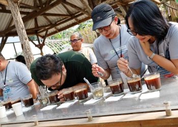 Panen Hingga Cupping, FIFGROUP Ajak Mengenal Desa Sejahtera Astra Penghasil Kopi