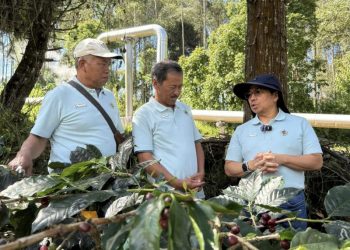 PGE Bawa Kopi Kamojang Tembus Pasar Asia dan Eropa dengan Teknologi ‘Geothermal Dry House’