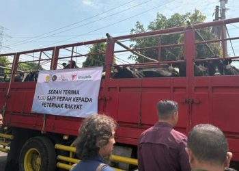 Melalui KSG, JAPFA dan Greenfields Pasok Seribuan Sapi Perah Bunting ke Peternak Rakyat di Jatim