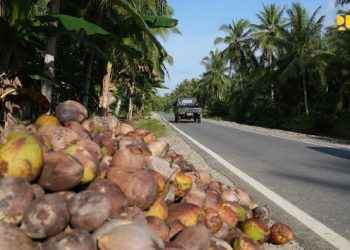 Kementerian PU Targetkan Konstruksi Inpres Jalan Daerah pada Kuartal III 2025