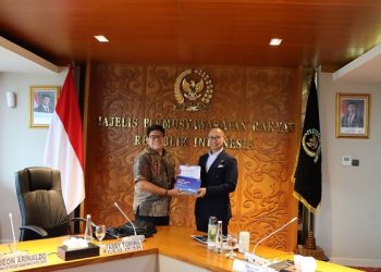 IESR Tekankan Transformasi Industri dan Pasar Ketenagalistrikan ke Wakil Ketua MPR RI