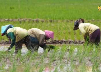 Menteri Dody: Infrastruktur Bukan Sekadar Fisik, tetapi Perisai Ketahanan Bangsa