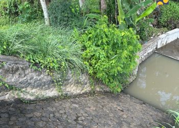 Dorong Peningkatan Produktivitas Pertanian di Bali, Kementerian PU Rehabilitasi Jaringan Irigasi DAS Sungi