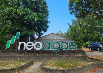 Mikroalga, Si Kecil yang Berdampak Besar: Dari Superfood sampai Solusi Ramah Lingkungan