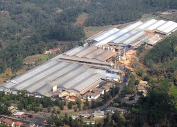 Kenaikan Harga Sawit dan Efisiensi Genjot Laba DNSG Hingga 51 Persen