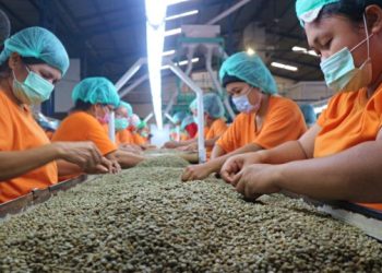 PPI Ekspor Kopi Robusta ke Mesir