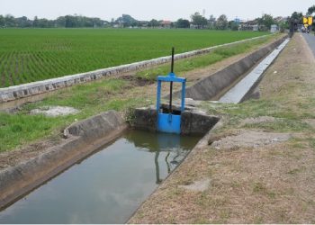 Peringati Hari Pangan Sedunia 2025, Kementerian PU Perkuat Infrastruktur Irigasi Dukung Swasembada Pangan