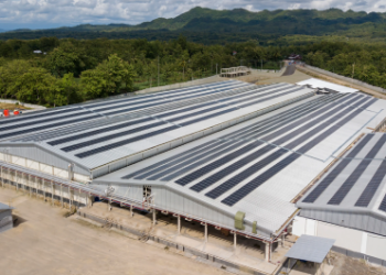 Berkat MBG, EBITDA WMPP Berbalik Positif Rp5,6 Miliar di Kuartal III