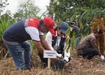 Hutama Karya Tegaskan Komitmen Lindungi Gajah dan Vegetasi di Tol Pekanbaru – Dumai
