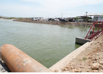 Progres Tol Semarang-Demak, Menteri Dody Dorong Percepatan Penanganan Banjir Rob Kaligawe-Sayung-Terboyo