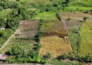 Selesai 2026, Kementerian PU Mulai Konstruksi Gedung Sekolah Rakyat Tahap II di 3 Provinsi