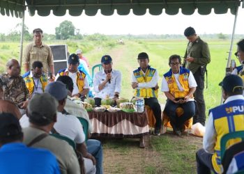 Perkuat Irigasi Rawa Semangga, Swasembada Pangan Papua Selatan Makin Nyata
