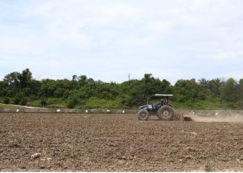 Energi yang Bertanggung Jawab: Komitmen PHR Pulihkan Tanah demi Masa Depan Berkelanjutan