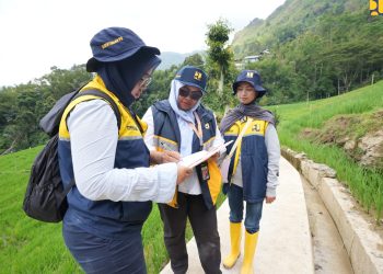Program P3TGAI Dimulai di 12.000 Lokasi, Rekrutmen Tenaga Pendamping Masyarakat