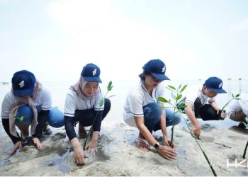 Peduli Kelestarian Ekosistem, HKI Dukung Penanaman Bibit Mangrove di Pulau Duyung