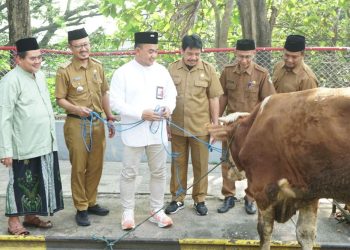 SIG Salurkan 292 Hewan Kurban Bagi Masyarakat di Sekitar Area Operasi
