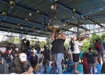 Dorong Pertumbuhan Ekonomi melalui Komunitas Hobi, Mendag Busan Buka Lomba Burung Berkicau dan Festival UMKM