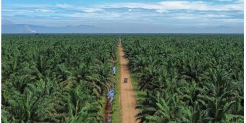 Berikut Ini Strategi Pertumbuhan CSRA