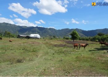 Menteri Dody Tinjau Lokasi Usulan Sekolah Rakyat di Kabupaten Bima