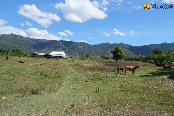 Menteri Dody Tinjau Lokasi Usulan Sekolah Rakyat di Kabupaten Bima