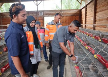 Sampah Kelapa Jadi Pakan Ternak, SIG Tingkatkan Kualitas Lingkungan dan Kesejahteraan Masyarakat di Aceh