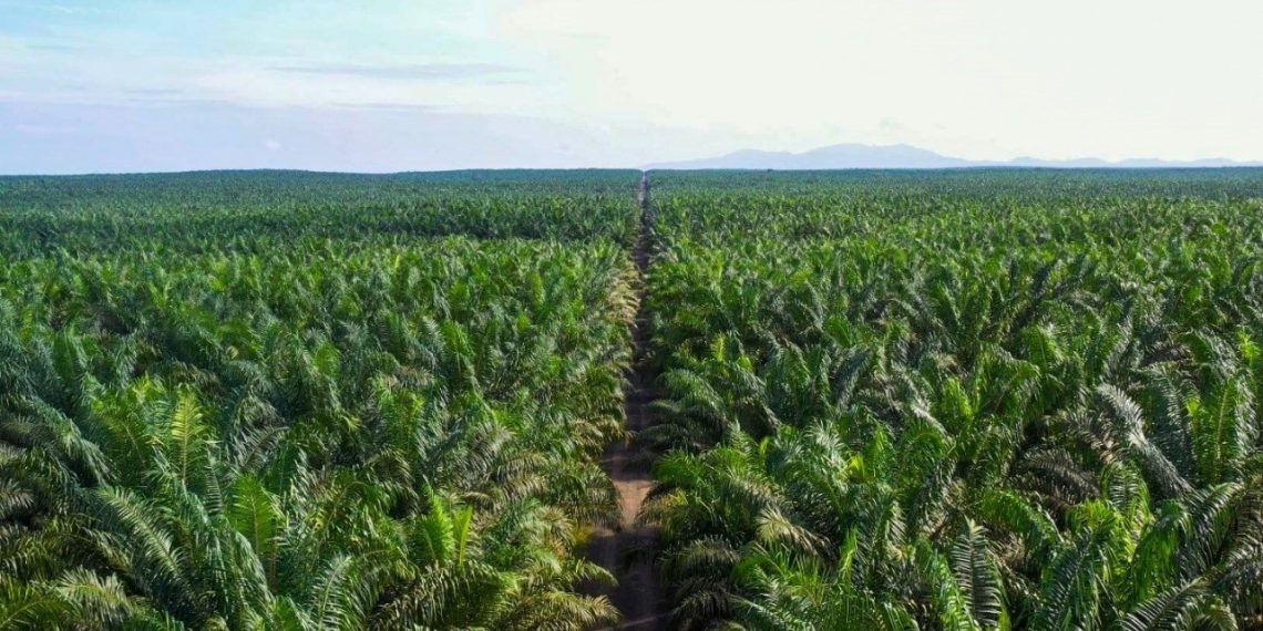 Kinerja kian Positif, PGUN Siap Kebut Free Float ke 12,5%
