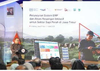OJK dan ILO Luncurkan ERP: Tingkatkan Akses Pembiayaan Peternak Sapi Perah