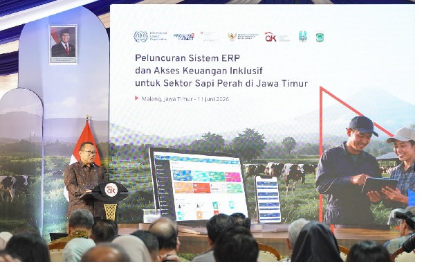 OJK dan ILO Luncurkan ERP: Tingkatkan Akses Pembiayaan Peternak Sapi Perah