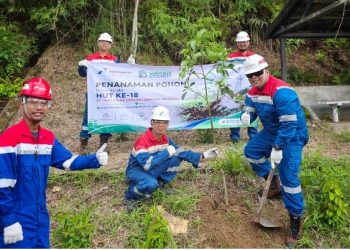 Peringatan Hari Lingkungan Hidup Sedunia, Pertamina Drilling Ajak Pekerja Tanam Pohon