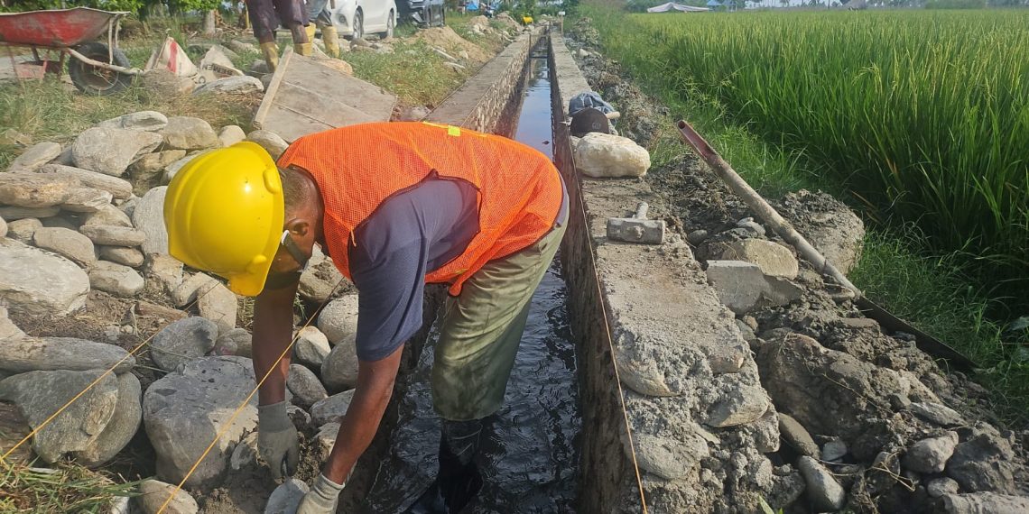 Hadapi El Nino, P3TGAI Perkuat Irigasi dan Serap 11.369 Tenaga Kerja