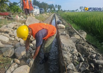 Hadapi El Nino, P3TGAI Perkuat Irigasi dan Serap 11.369 Tenaga Kerja
