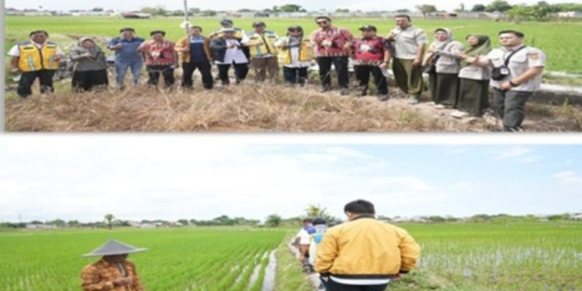 Kementerian PU Tangani 294 Titik Kekeringan di Seluruh Indonesia