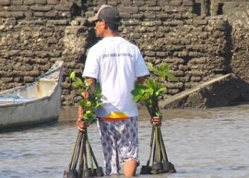 Hari Mangrove Sedunia Jadi Momentum BNI Perkuat Komitmen Pelestarian Lingkungan dan Ekonomi Pesisir