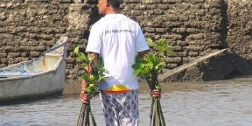 Hari Mangrove Sedunia Jadi Momentum BNI Perkuat Komitmen Pelestarian Lingkungan dan Ekonomi Pesisir