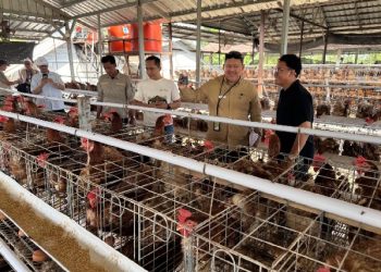Komut dan Manajemen PEPC Turun Temui Warga untuk Menggerakkan Ekonomi