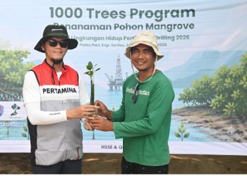 Pertamina Drilling Tanam 800 Mangrove di Pulau Pari, Perkuat Komitmen Pengurangan Emisi Karbon