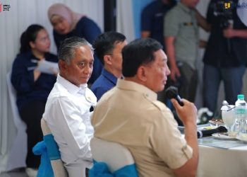 Pengembangan Infrastruktur Dorong Kawasan Industri Mobil Nasional di Subang