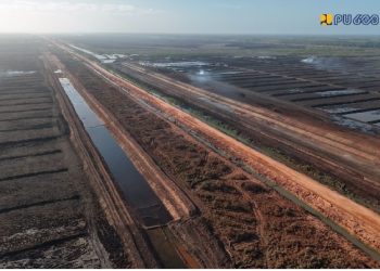 Infrastruktur Jalan dan Air Dibangun, Harapan Baru untuk Wanam, Papua Selatan