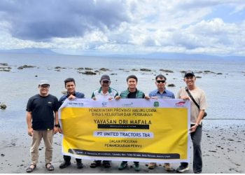 Menjaga Kehidupan Laut, United Tractors Bersama dengan Yayasan Ori Ma Fala Lepasliarkan Tukik Penyu di Ternate
