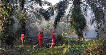 PetroChina Bantu Padamkan Karhutla di Jambi
