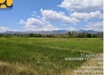 Atasi Kekeringan, 25 Ribu Liter Air Irigasi Disalurkan untuk 18,6 Hektare Sawah di Sumbawa