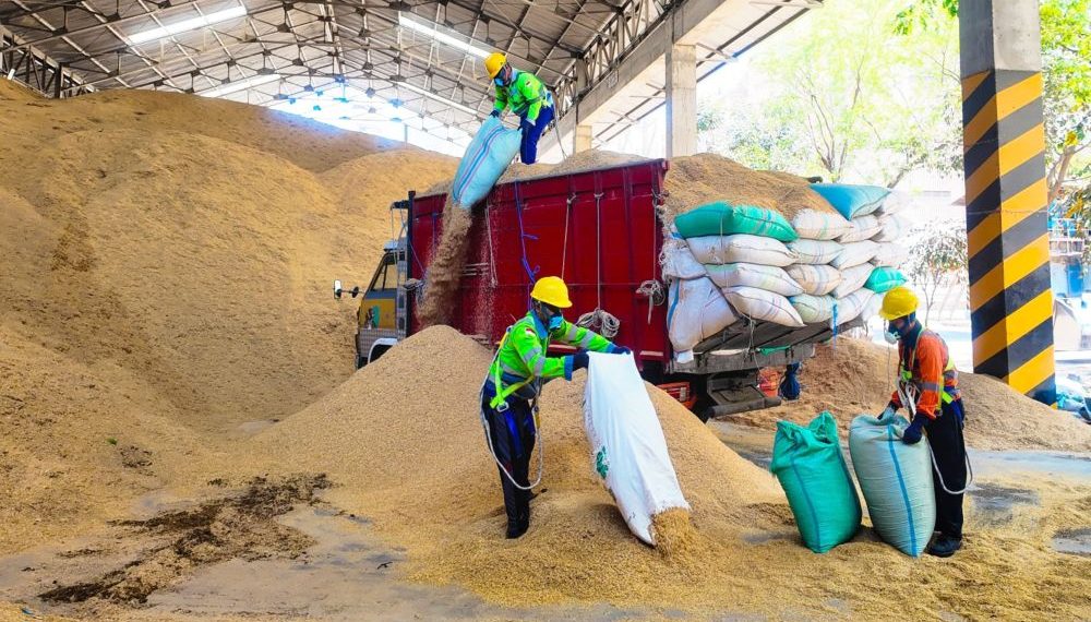 Optimalkan Bahan Bakar Alternatif, SIG Pabrik Tuban Gunakan Sekam Padi Capai 400 Ton Per Hari