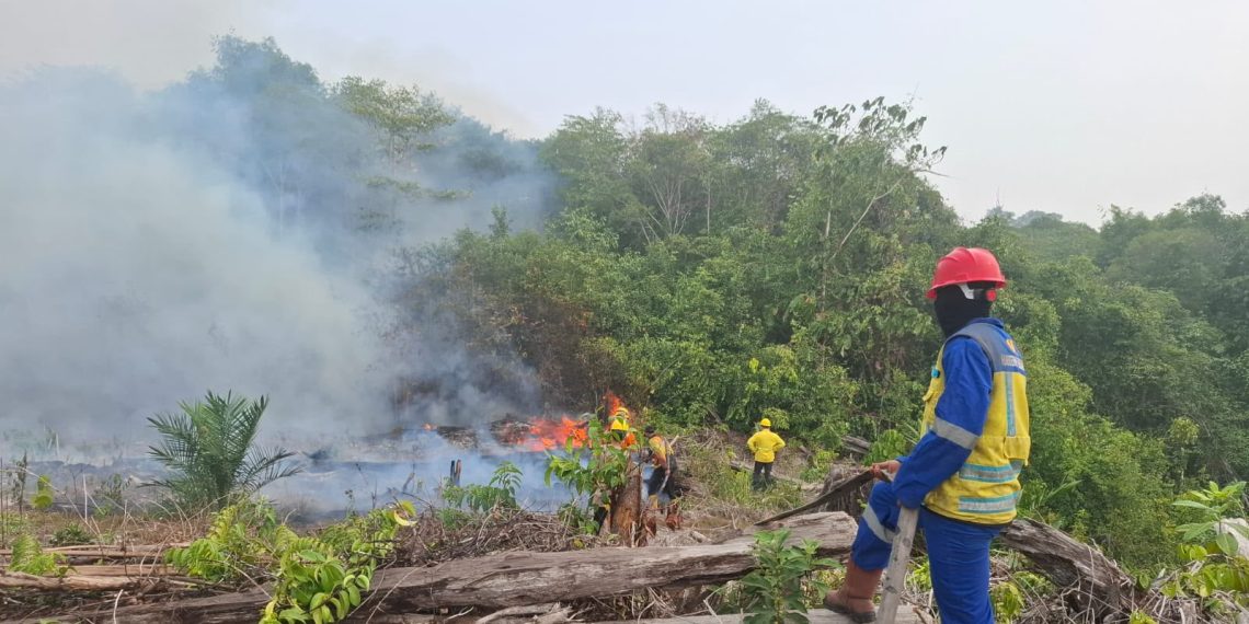 Tindaklanjuti Arahan Presiden, Penanganan Karhutla Diperkuat di Kaltara, Kaltim dan Malut