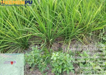 Kurangi Risiko Gagal Panen, Pompa Air Dialirkan ke 5 Hektare Sawah di Muaro Jambi
