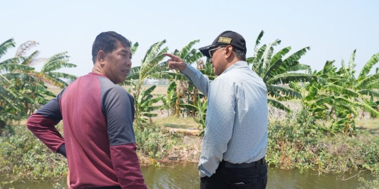 Menteri Dody Instruksikan Penanganan Cepat Kekeringan Dan Banjir Rob di Demak