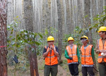 Serap Lebih dari 61 Ribu Penyadap, Perhutani Perkuat Kesejahteraan Masyarakat Desa Hutan Lewat Sinergi Hutan Lestari