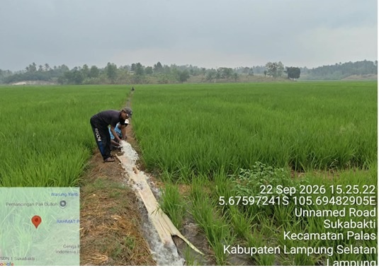 Pompa Air Bantu Atasi Kekeringan 35 Hektare Sawah di Lampung Selatan