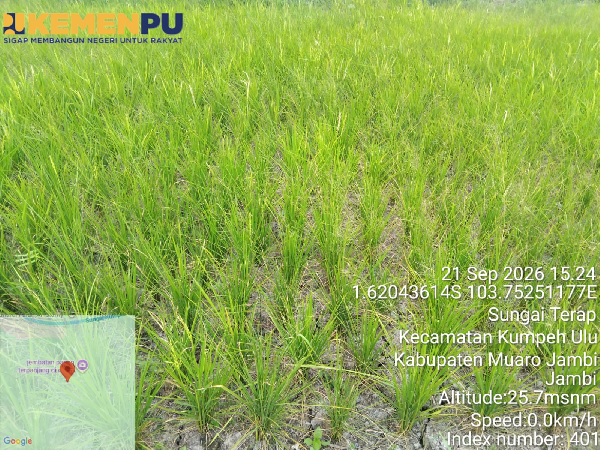 Kurangi Risiko Gagal Panen, Pompa Air Dialirkan ke 5 Hektare Sawah di Muaro Jambi