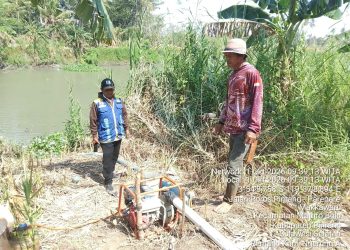 Pompa Alirkan Air untuk 15 Hektare Sawah di Pinrang
